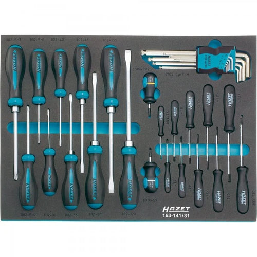 HAZET 31 Piece Screwdriver Set 163-141/31 Modular Insert Tray