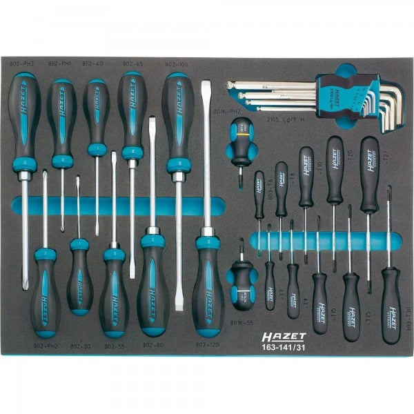 HAZET 31 Piece Screwdriver Set 163-141/31 Modular Insert Tray