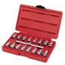 Toledo 305003 Oil Drain Plug Remover Set 17 Piece