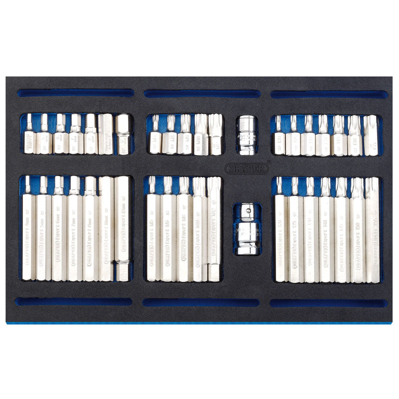 Draper Tools Screwdriver Insert Bit Set in 1/4 Drawer EVA Insert Tray (40 Piece) DRA63515
