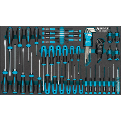 HAZET 57 Piece Screwdriver Set 163-480/57
