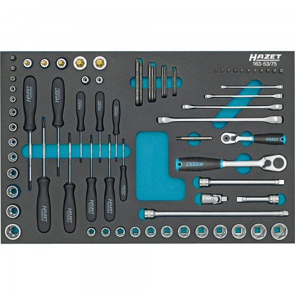 HAZET 75 Piece TORX & Socket Set 163-53/75