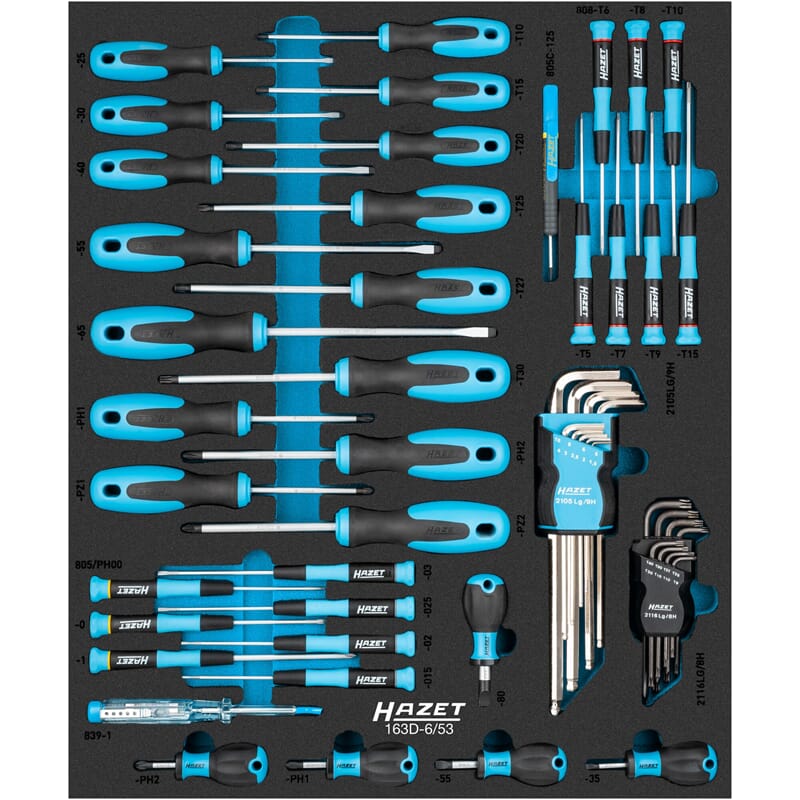 HAZET 53 Piece Screwdriver Set 163D-6/53