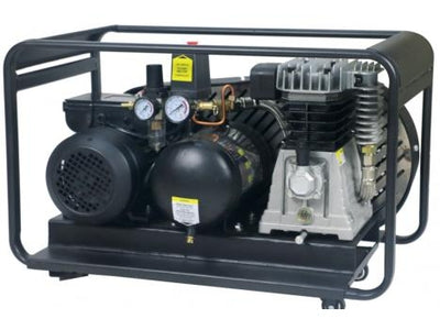 PEERLESS BLACK PB14000 Single Phase Air Compressor: Belt Drive, 10Amp, 2.5HP, 220LPM