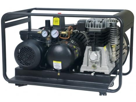 PEERLESS BLACK PB14000 Single Phase Air Compressor: Belt Drive, 10Amp, 2.5HP, 220LPM