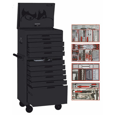 Teng Tools 11 DRAWER METRIC AF TOOK KIT - 316PCE-BLACK