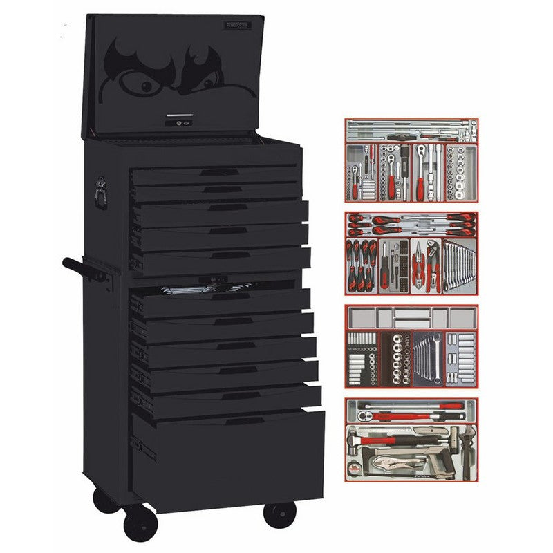 Teng Tools 11 DRAWER METRIC AF TOOK KIT - 316PCE-BLACK