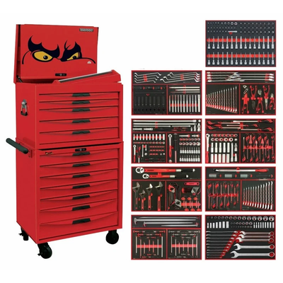 Teng Tools TCM493EVAN 493Pce Metric/AF EVA Tool Kit