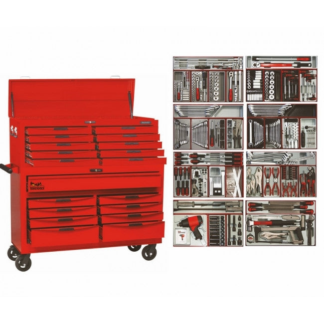 Teng Tools TCMM541  Workshop Master AF/MM EVA Foam Wide Body Tool Kit-541Pce -FDD