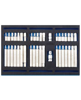 Draper Tools Screwdriver Insert Bit Set in 1/4 Drawer EVA Insert Tray (40 Piece) DRA63515