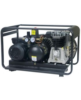 PEERLESS BLACK PB14000 Single Phase Air Compressor: Belt Drive, 10Amp, 2.5HP, 220LPM