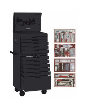 Teng Tools 11 DRAWER METRIC AF TOOK KIT - 316PCE-BLACK