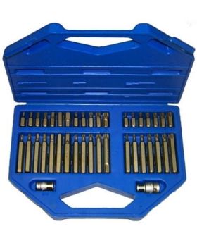 T&E Tools In-Hex, Multi-Spline, Torx Insert Bit Set.-40pce CL102